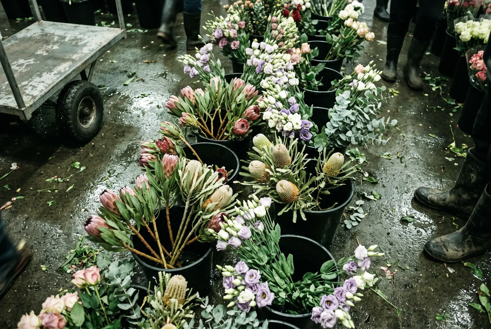 Rows of flower buckets on a wet wholesale market floor before dawn