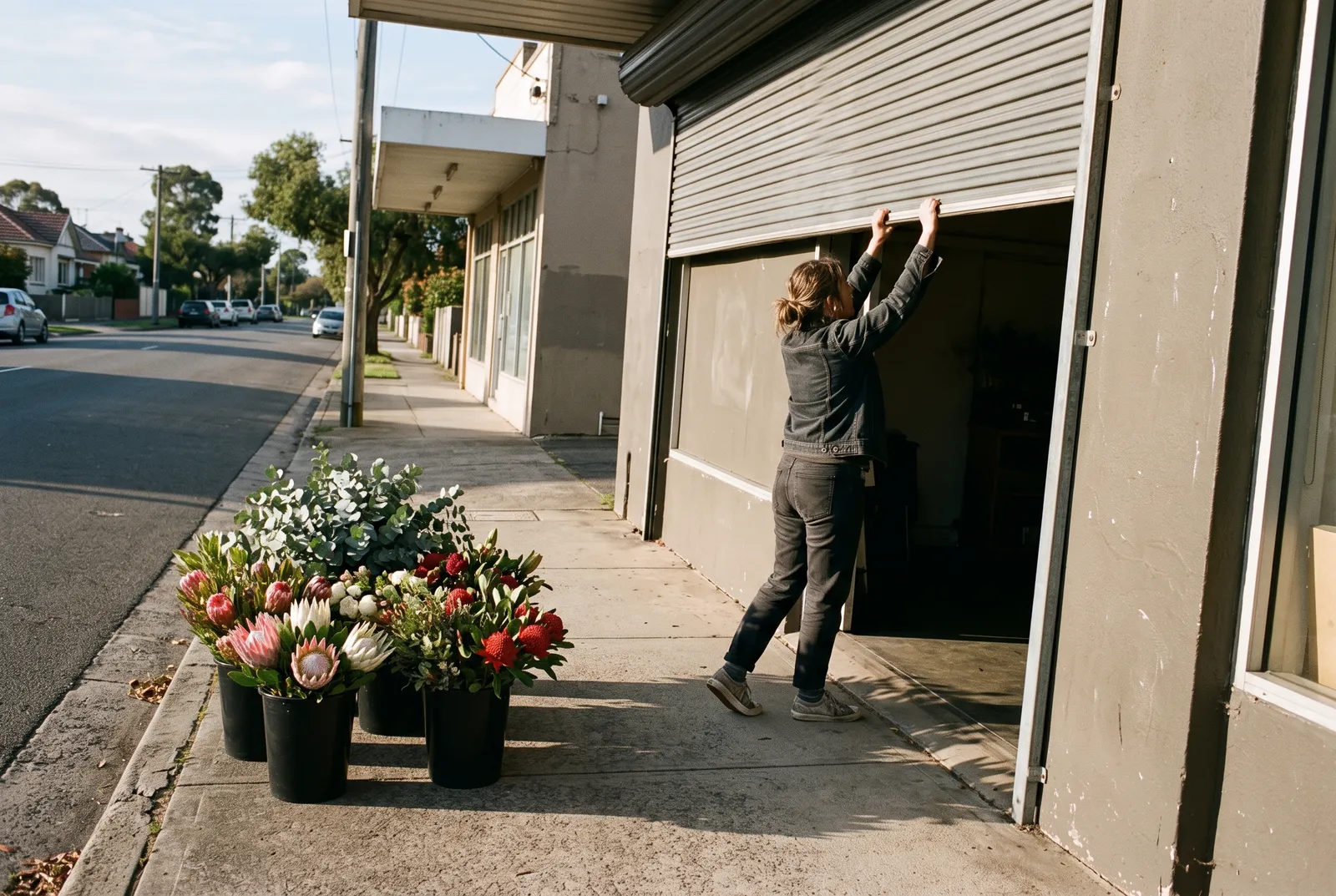 A florist pushes up the roller door of her shop in early sun, buckets of proteas, waratah and eucalyptus waiting on the footpath