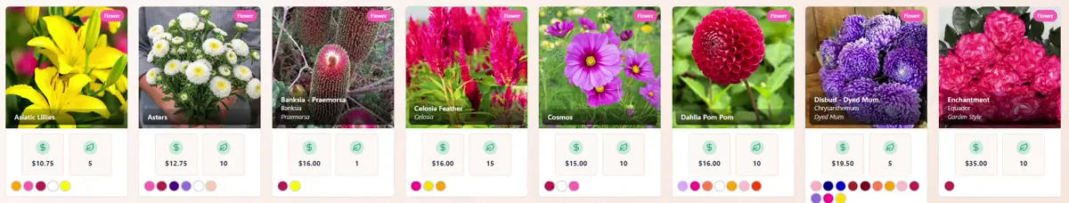 The StemCounts flower picker: photos of lilies, asters, banksia, celosia, cosmos, dahlia, chrysanthemum and garden roses with price and bunch size under each